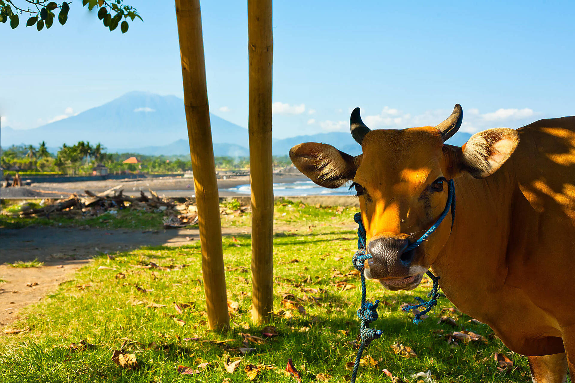 Sanctuary by the Tides of Bali – Bali Villa 1039