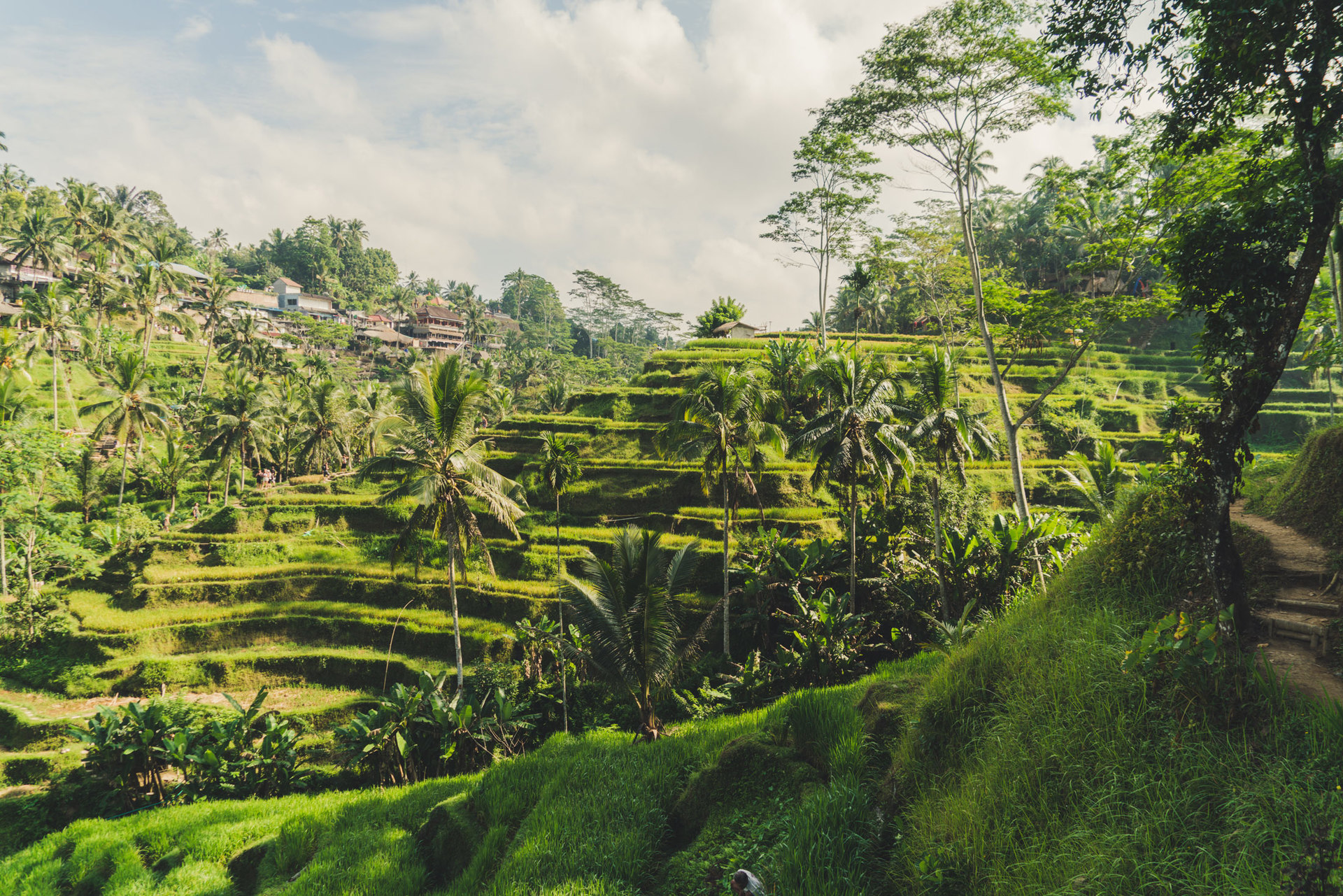 Serenity Above the Surfline – Bali Villa 1089