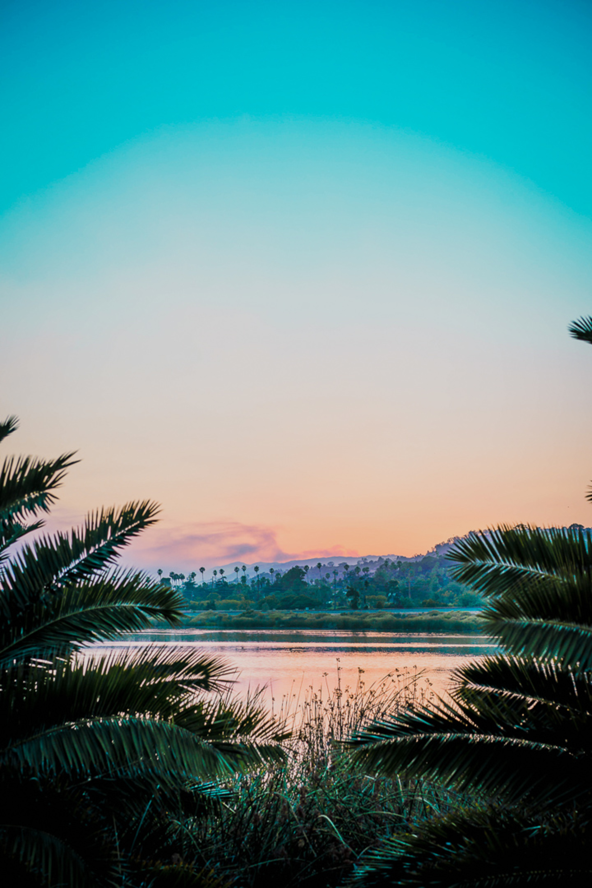 You will Love This Luxury 3 Bedroom Holiday Villa in Ubud with Private Pool, Villa Bali 2031