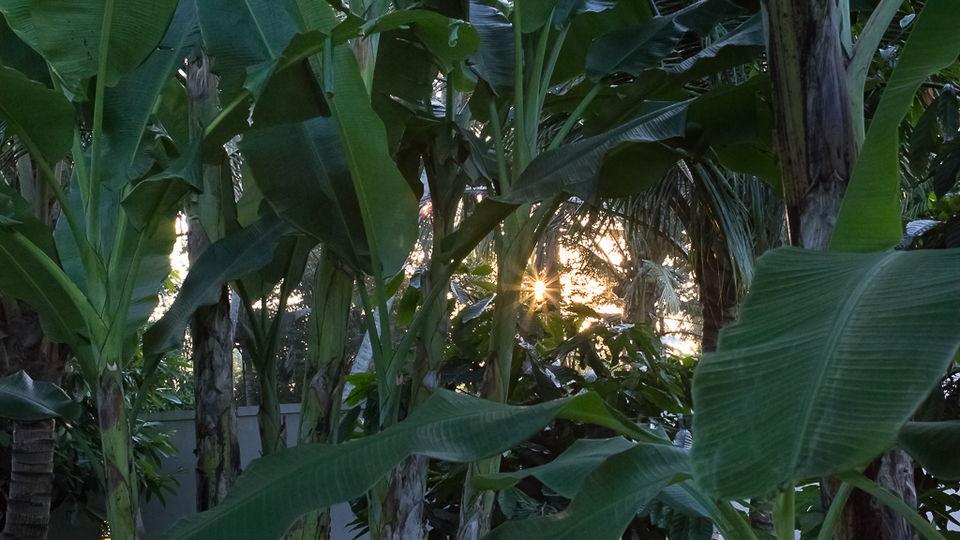 Beautiful 5 Star Holiday Villa in a Prime Location in Ubud, Book Early to Secure Your Dates, Villa Bali 2036