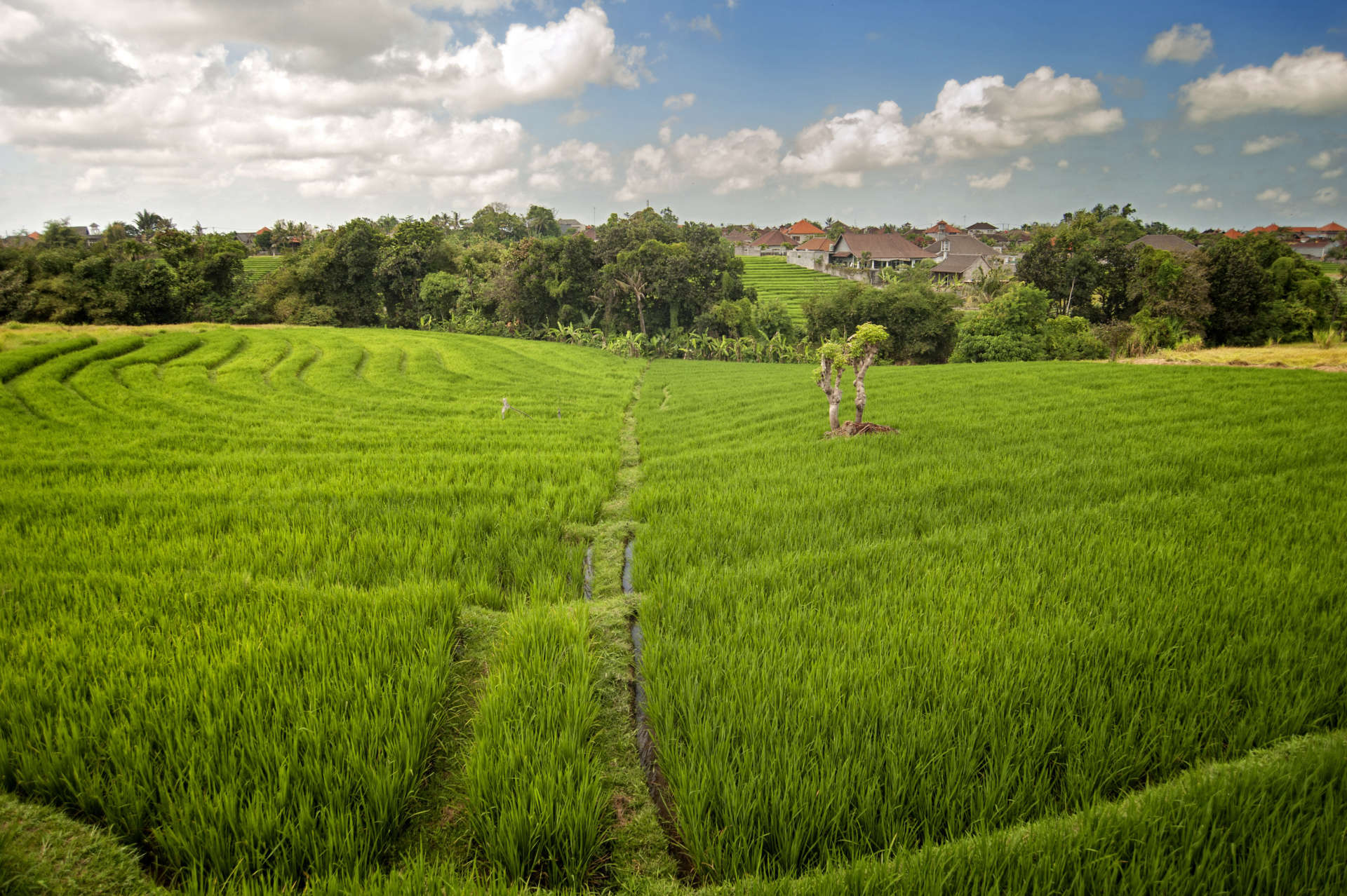 Rent a Luxury Villa in Bali Close to the Beach, Bali Villa 2054