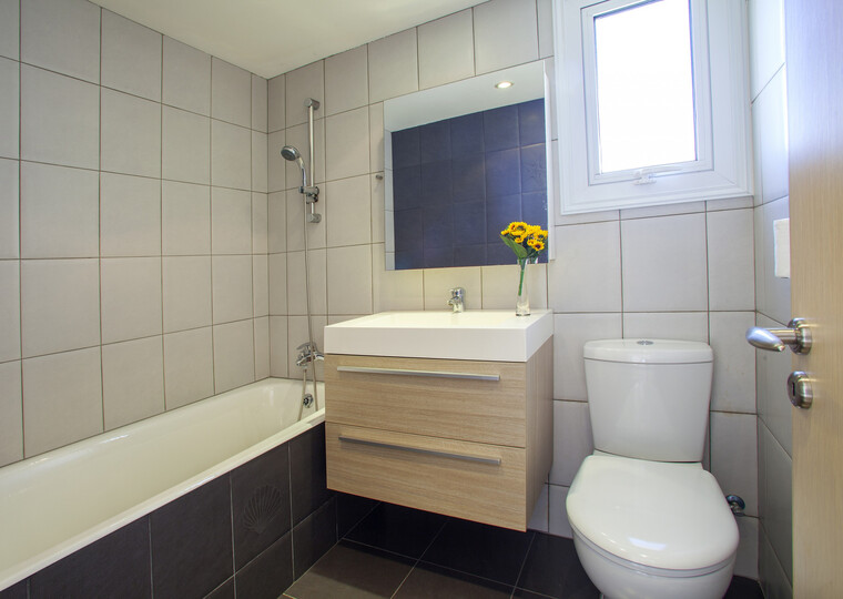 The Ultimate Guide to Renting Your Luxury 3 Bedroom Villa close to the Beach, Protaras Villa 1461