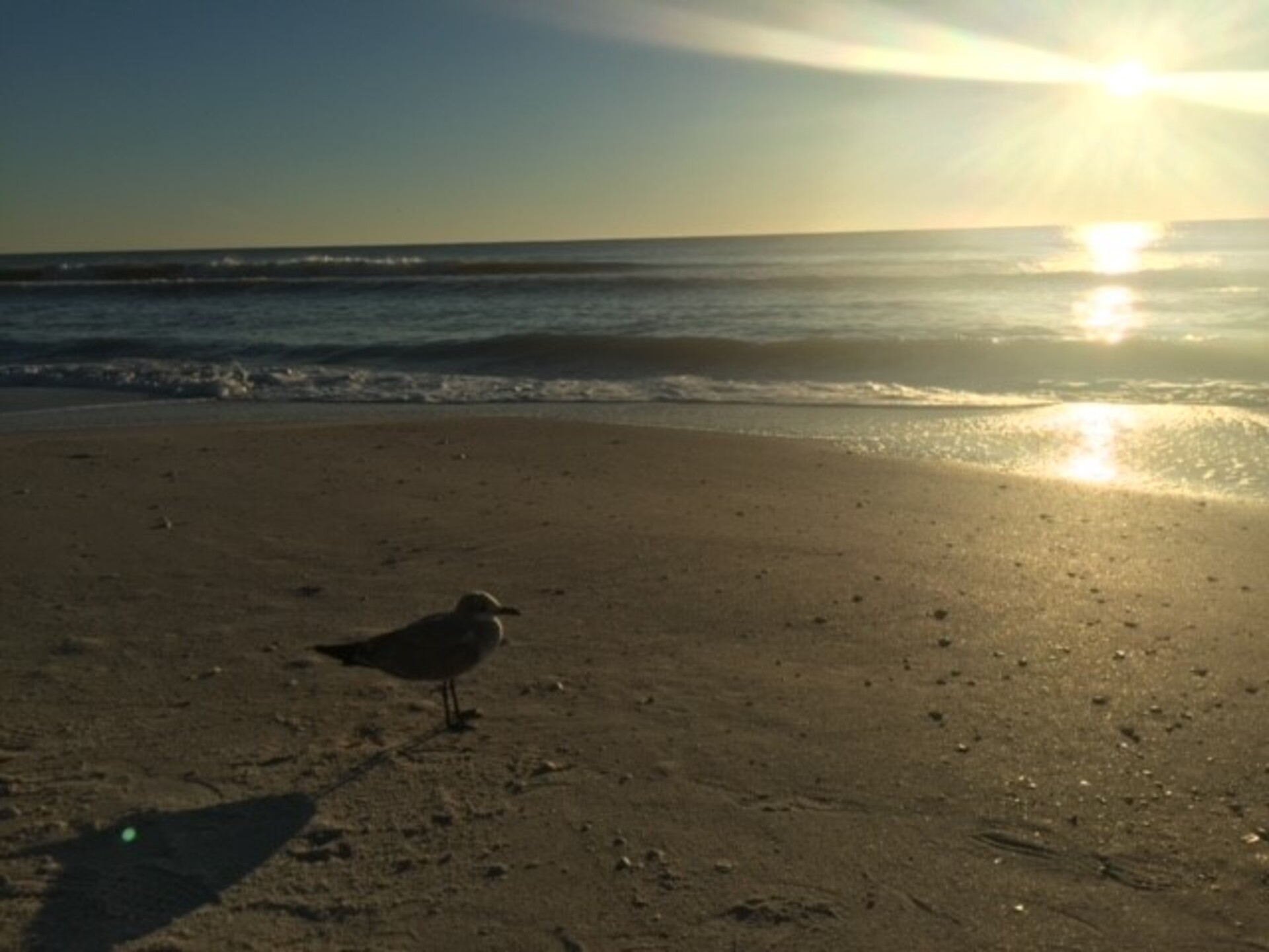 5 Star Condo in one of the most Prestigious Areas in Sandy Bottoms Vacation, Florida Condo 5965
