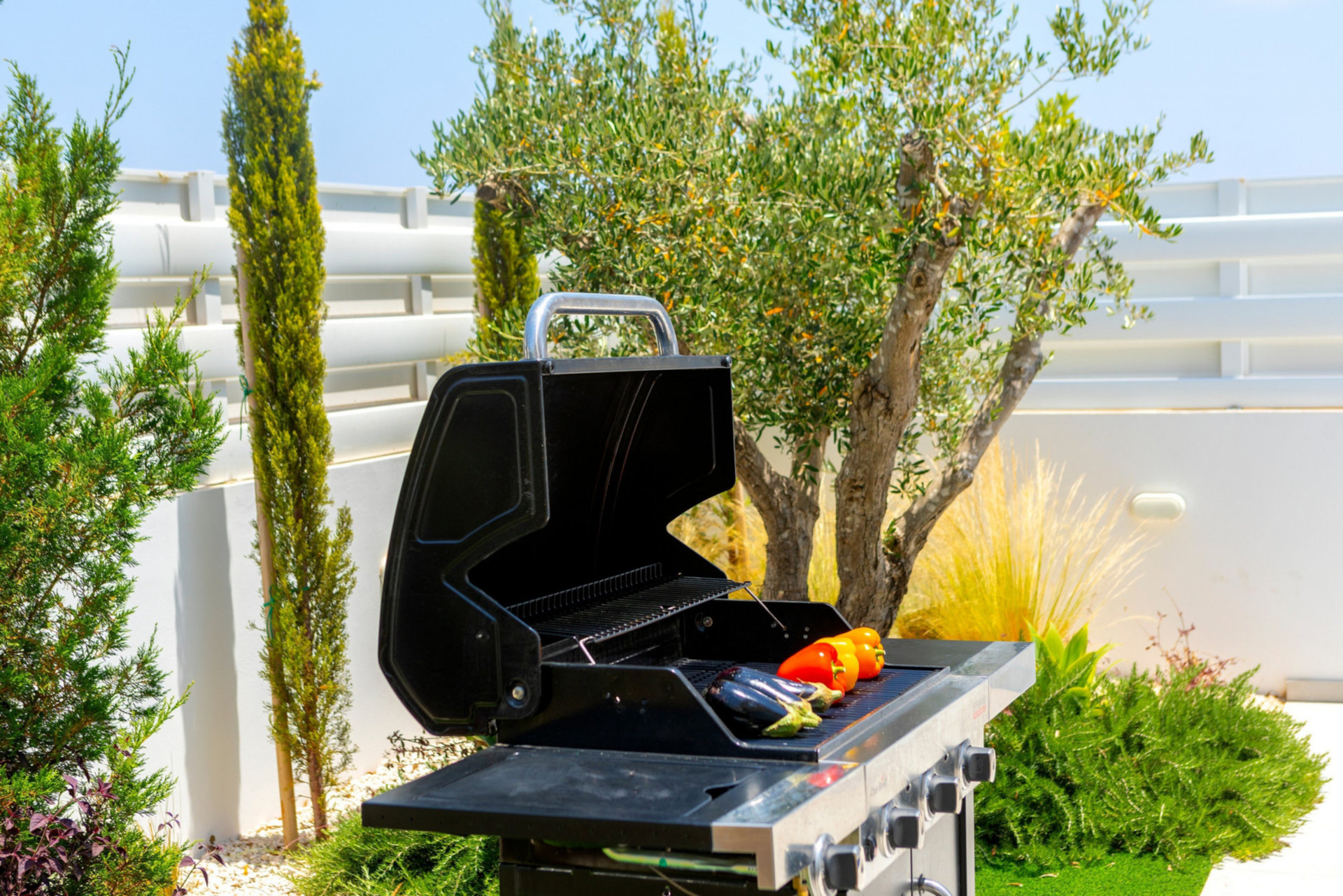 Luxury Home with Private Pool, Protaras Villa 1026