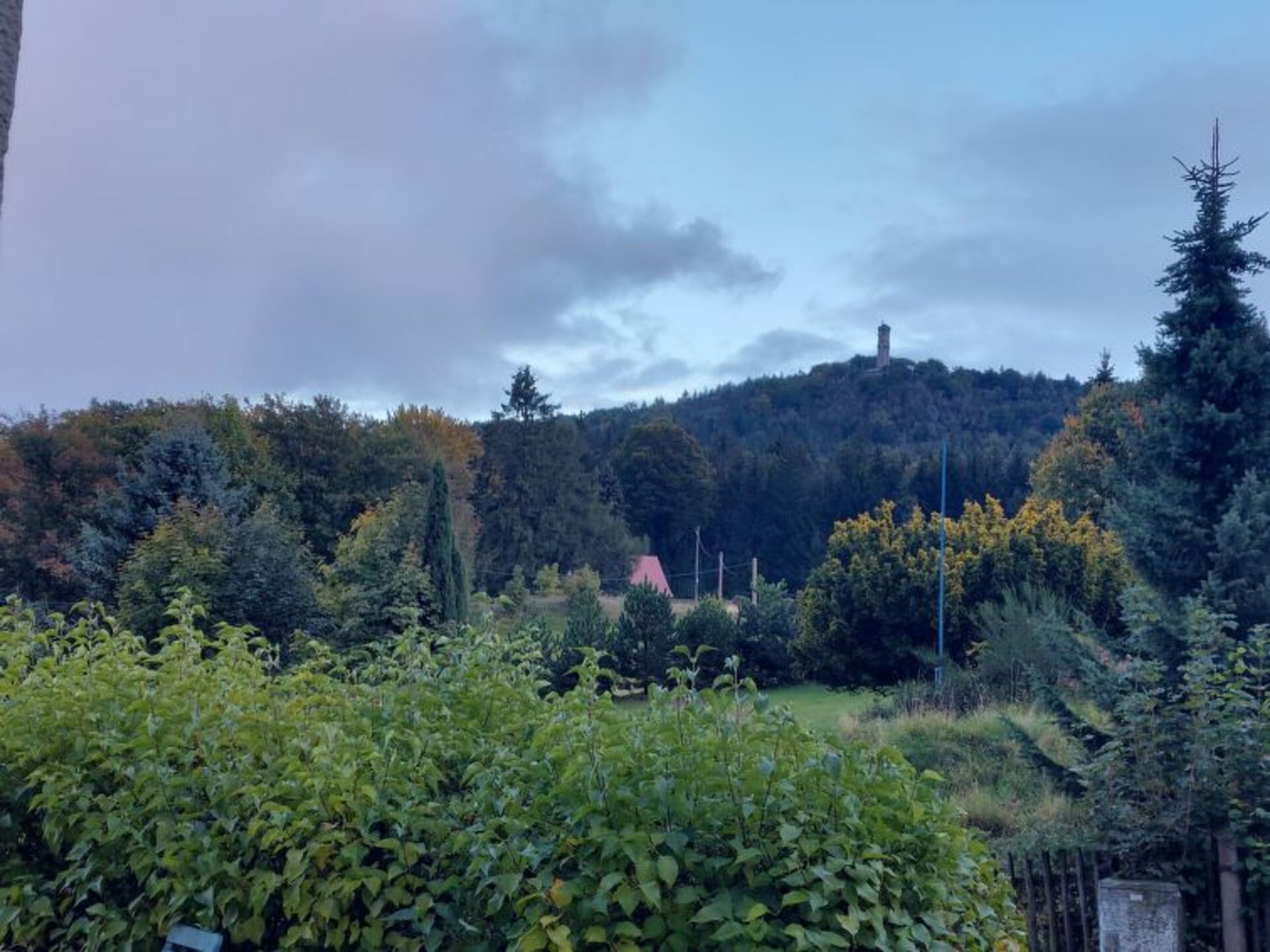 View