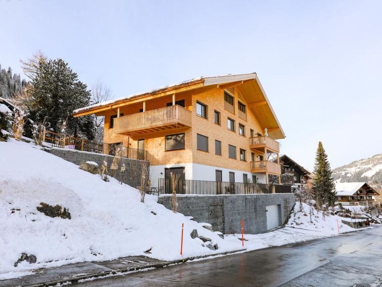Escape to Zweisimmen Villa, 1193
