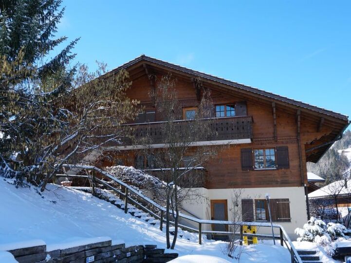 Elegant 2 Bedroom Villa in Zweisimmen, 1195, Zweisimmen, Switzerland