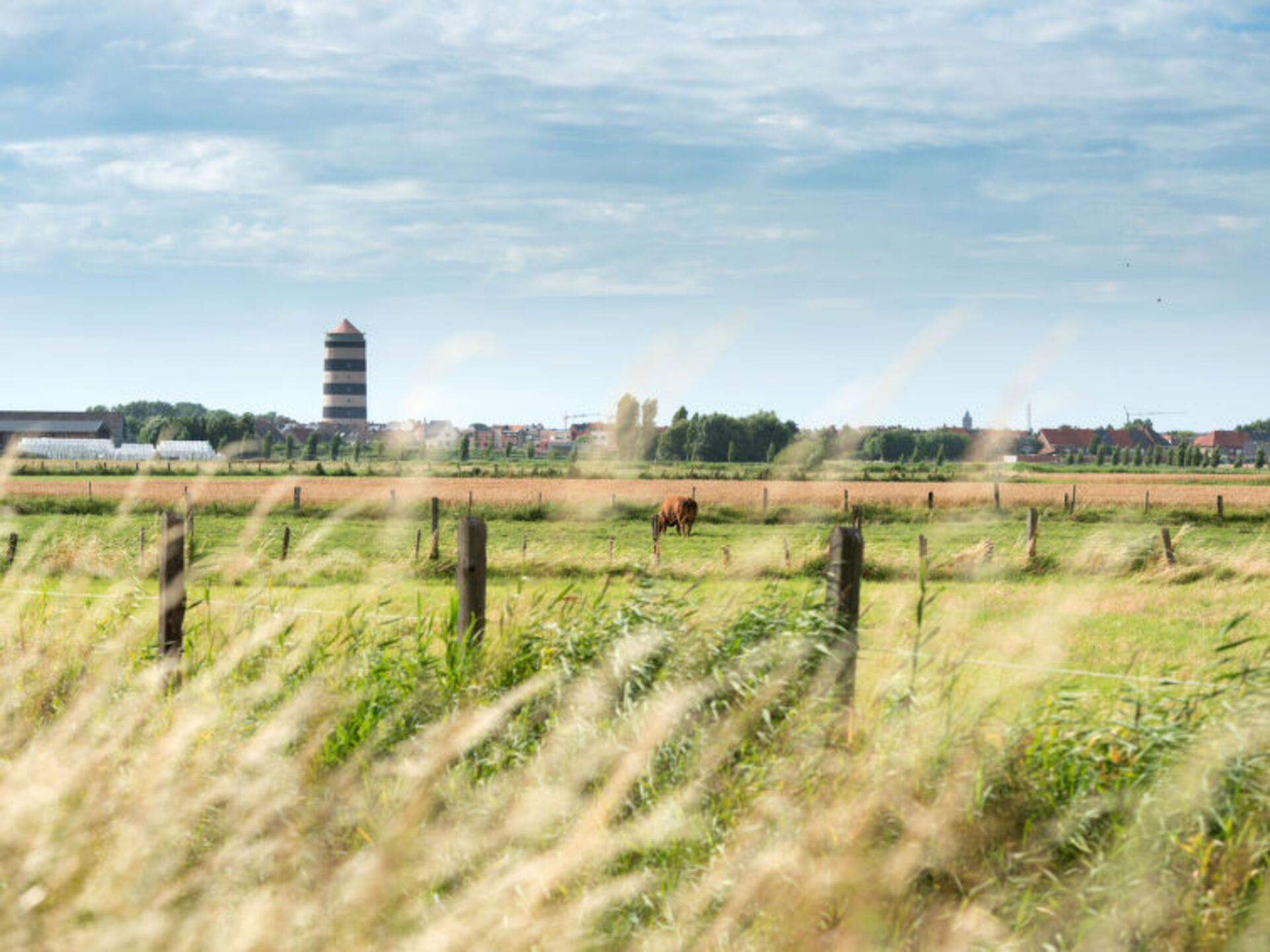Charming Villa in Bredene, 1010