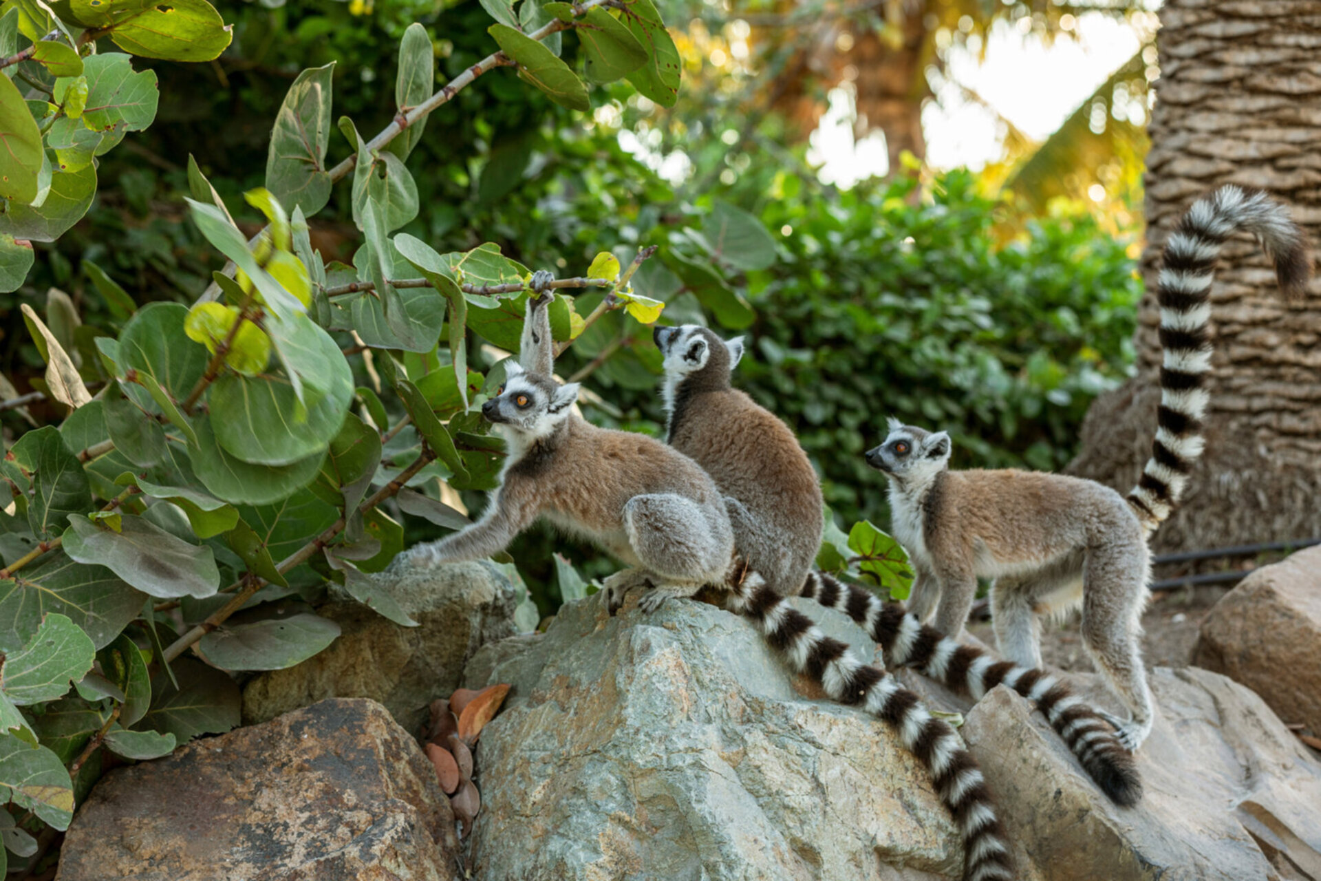 A Hidden Paradise in the Virgin Islands – 1001
