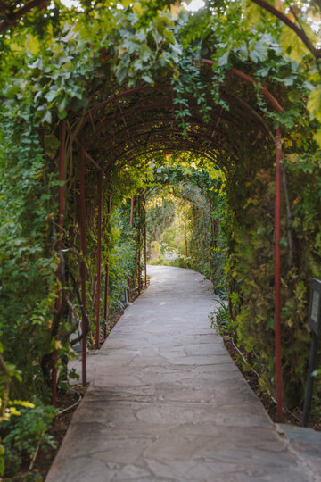 Whispers of the Atlas: A Hidden Retreat in Morocco 1026