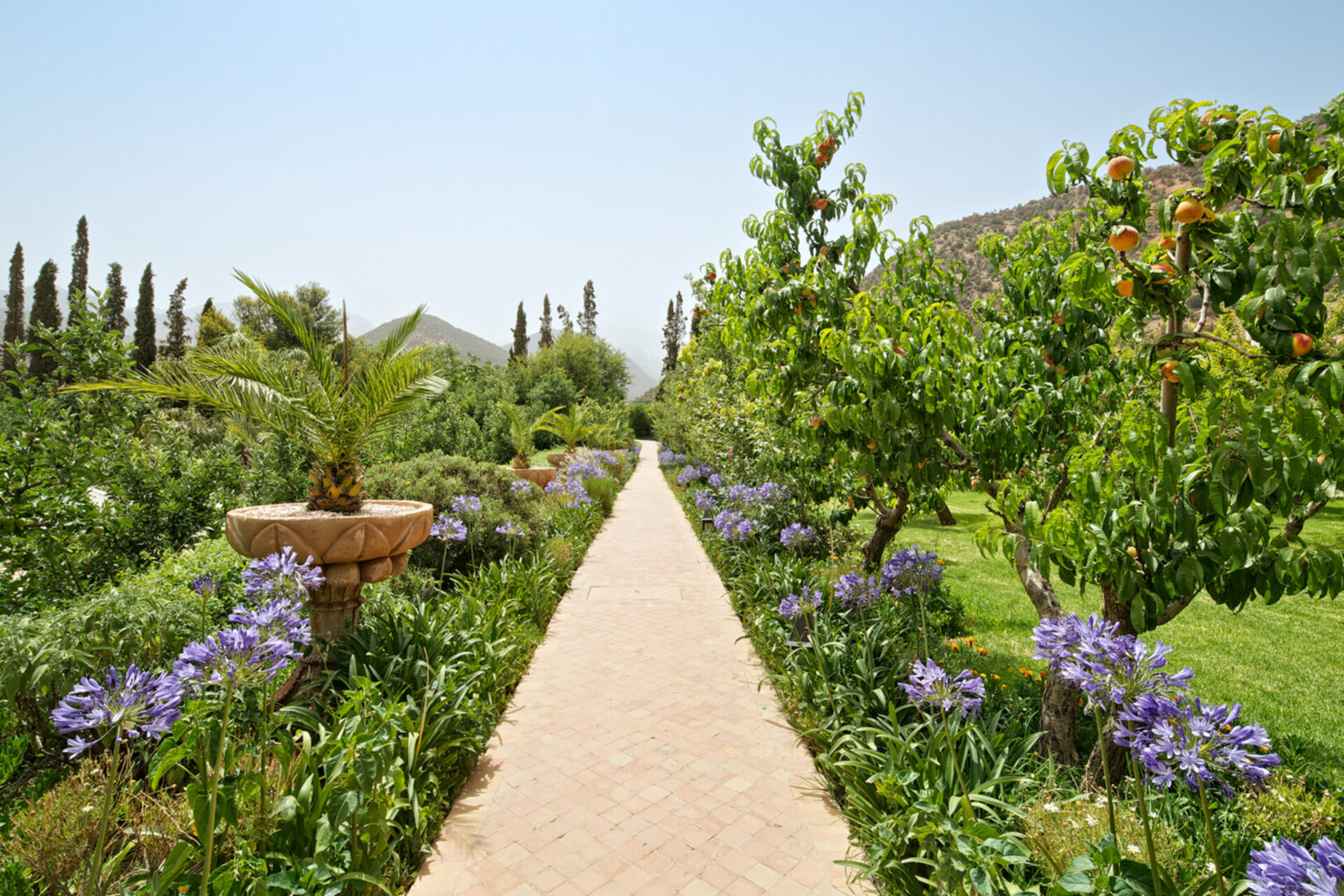 Majestic Valley Retreat 1034