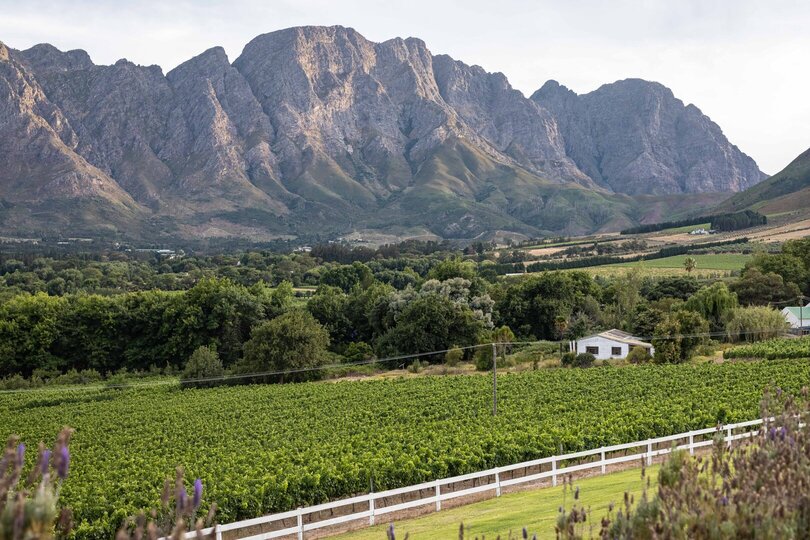 Elegant Pinotage Suites with Vineyard Mountain and Garden Views 1040