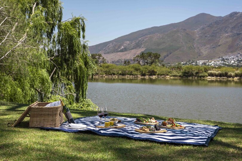 Cap Classique Vineyard Pool Suites with Private Pool 1043