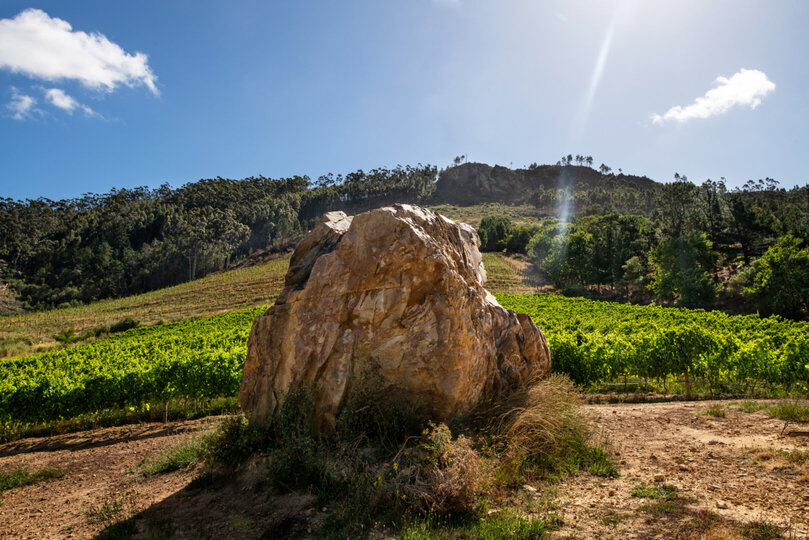 Bunkroom Retreat, Family Fun 1047