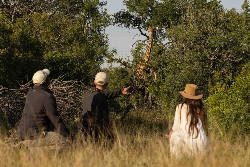 Private Safari Escape 1054