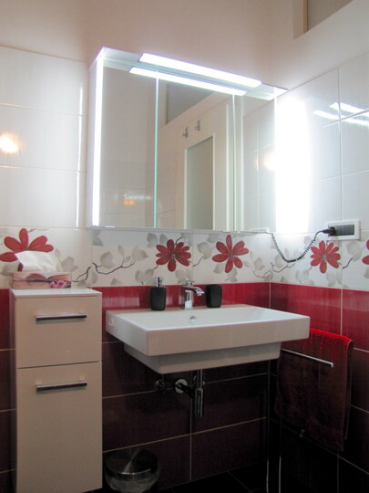 Luxury  in Perfect Location, Sežana Villa 1003