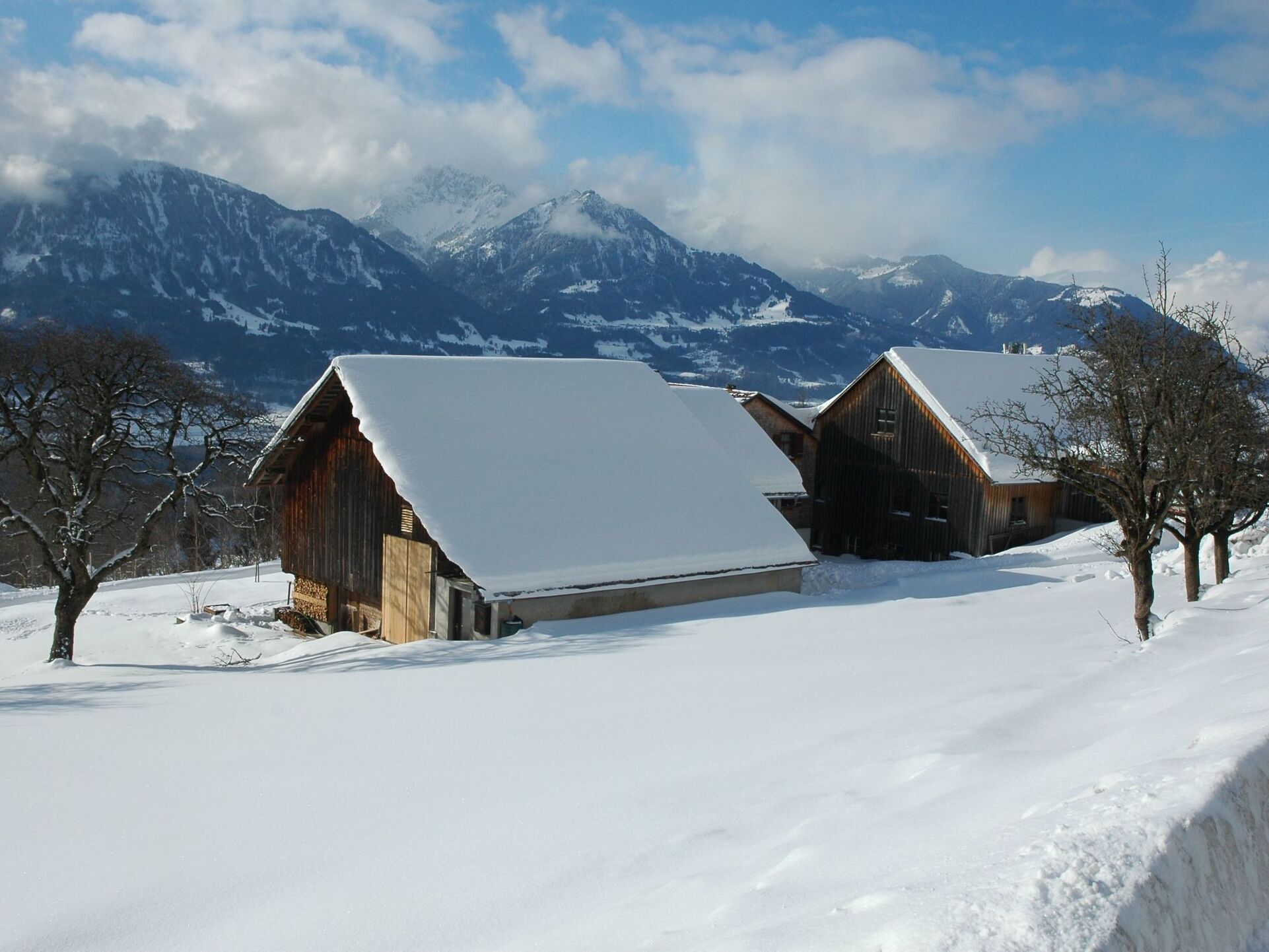 Stylish 4-Bed House in Feldkirch, Sleeps 9, 1038