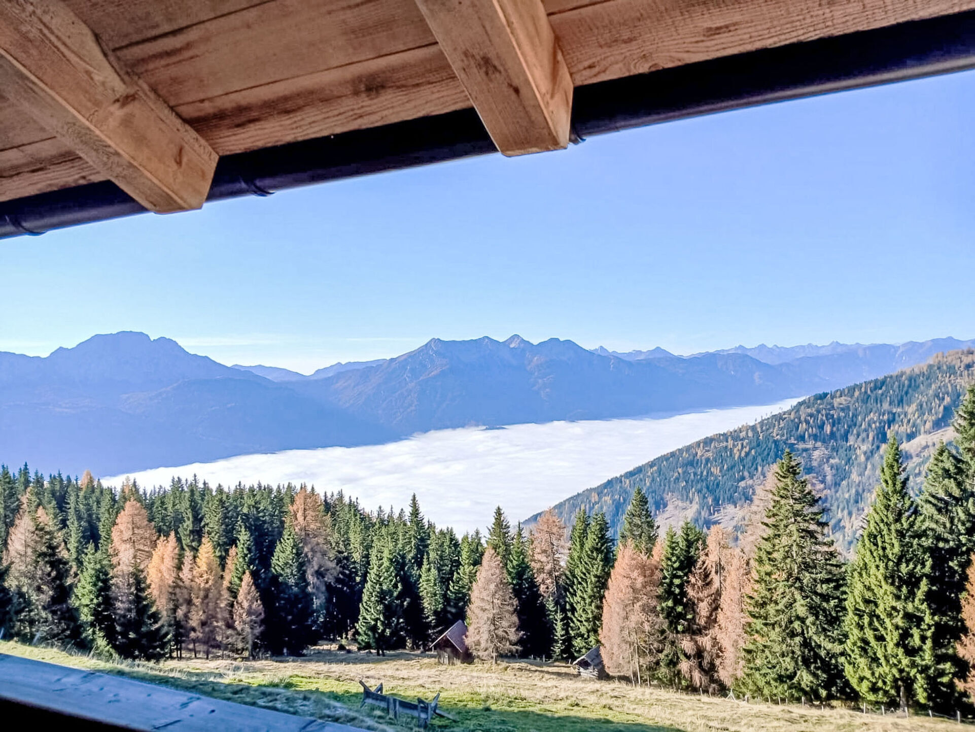 View
